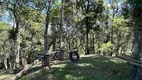 Foto 12 de Fazenda/Sítio com 3 Quartos à venda, 5000m² em , Antônio Carlos