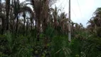 Foto 9 de Lote/Terreno à venda, 7000000m² em Maranhão Novo, São Luís