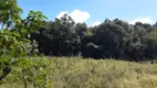 Foto 10 de Fazenda/Sítio com 3 Quartos à venda, 6000m² em Zona Rural, Contenda