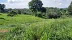 Foto 10 de Fazenda/Sítio com 4 Quartos à venda, 150m² em Setor Central, Hidrolândia