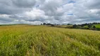 Foto 11 de Fazenda/Sítio à venda, 120000m² em Centro, Palmeira