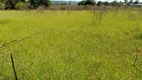 Foto 30 de Fazenda/Sítio com 4 Quartos à venda, 20000m² em Area Rural de Ceilandia, Brasília