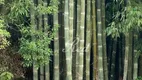 Foto 30 de Fazenda/Sítio com 4 Quartos à venda, 400m² em Chácara Sete Cruzes, Suzano