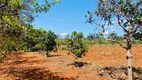 Foto 23 de Fazenda/Sítio com 3 Quartos à venda, 20000m² em Setor Central, Terezópolis de Goiás