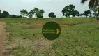 Foto 18 de Fazenda/Sítio à venda, 20812000m² em Zona Rural, Rubiataba