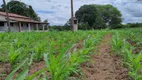 Foto 9 de Fazenda/Sítio com 4 Quartos à venda, 205000m² em Centro, Bom Jesus