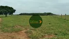 Foto 19 de Fazenda/Sítio à venda, 20812000m² em Zona Rural, Rubiataba