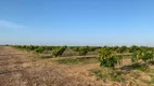 Foto 13 de Fazenda/Sítio à venda em Zona Rural, Areia