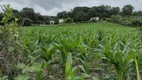 Foto 10 de Lote/Terreno à venda, 20000m² em Centro, Fortuna de Minas