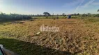 Foto 19 de Fazenda/Sítio com 4 Quartos à venda, 135m² em Area Rural de Uberlandia, Uberlândia