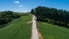 Foto 18 de Lote/Terreno à venda em Ferraria, Campo Largo