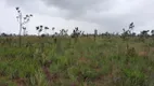 Foto 8 de Fazenda/Sítio com 1 Quarto à venda, 5000000m² em Lagoa Azul, Macapá