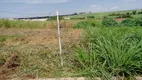 Foto 8 de Lote/Terreno à venda, 345m² em Reserva Macauba, Ribeirão Preto