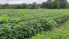 Foto 2 de Fazenda/Sítio com 4 Quartos à venda, 120000m² em Area Rural do Paranoa, Brasília