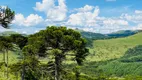 Foto 27 de Fazenda/Sítio à venda, 440000m² em Santa Izabel, São Joaquim