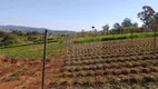 Foto 2 de Fazenda/Sítio à venda, 121000m² em Campo Novo, Bragança Paulista