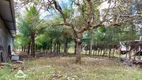 Foto 17 de Fazenda/Sítio com 2 Quartos à venda, 450m² em Parque Do Jiqui, Parnamirim