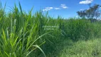 Foto 24 de Fazenda/Sítio com 4 Quartos à venda, 92000m² em Zona Rural, Abadiânia