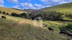 Foto 3 de Fazenda/Sítio com 4 Quartos à venda, 61000m² em Zona Rural, Bandeira do Sul