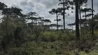 Foto 3 de Fazenda/Sítio à venda, 140000m² em Riacho, Urubici