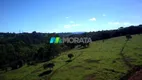 Foto 10 de Fazenda/Sítio com 1 Quarto à venda, 15m² em Zona Rural, Congonhas