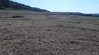 Foto 11 de Fazenda/Sítio à venda, 1030000m² em Bairro Rural, Indianópolis