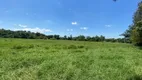 Foto 8 de Fazenda/Sítio à venda, 96800m² em Rural, Cesário Lange