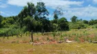Foto 21 de Fazenda/Sítio com 3 Quartos à venda, 5022m² em Usina Três Bocas, Londrina