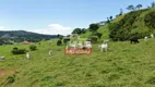 Foto 17 de Fazenda/Sítio à venda em Zona Rural, Rubiataba