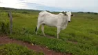 Foto 15 de Fazenda/Sítio com 7 Quartos à venda, 206m² em , Pontal do Araguaia