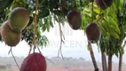 Foto 10 de Fazenda/Sítio com 2 Quartos à venda, 1294m² em Sao Goncalo do Abaete, São Gonçalo do Abaeté