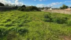 Foto 12 de Lote/Terreno à venda, 2398m² em Olimpica, Esteio