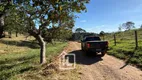 Foto 32 de Fazenda/Sítio à venda em Zona Rural, Hidrolândia