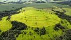 Foto 19 de Fazenda/Sítio com 2 Quartos à venda em Zona Rural, Anhembi