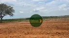 Foto 7 de Fazenda/Sítio à venda, 4017200m² em Zona Rural, Indiara