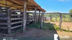 Foto 7 de Fazenda/Sítio à venda, 1229m² em Zona Rural, Miranorte