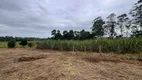 Foto 29 de Fazenda/Sítio com 3 Quartos à venda, 16000m² em Vila Rica, Criciúma