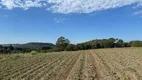 Foto 21 de Fazenda/Sítio à venda, 13000m² em Campo Novo, Campo Magro