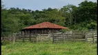 Foto 3 de Fazenda/Sítio à venda, 290000m² em Centro, Goianira