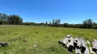 Foto 16 de Fazenda/Sítio com 3 Quartos à venda, 25000m² em Caju, Nova Santa Rita