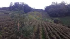 Foto 17 de Fazenda/Sítio com 3 Quartos à venda, 200m² em Caixa d Agua, Vinhedo