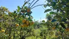 Foto 4 de Fazenda/Sítio com 3 Quartos à venda, 26000m² em , Tanguá