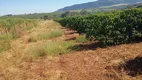 Foto 5 de Fazenda/Sítio com 6 Quartos à venda, 266200m² em Zona Rural, Altinópolis