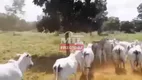 Foto 11 de Fazenda/Sítio à venda em Zona Rural, Santa Terezinha de Goiás