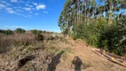 Foto 14 de Lote/Terreno à venda, 100000m² em Vale dos Vinhedos, Bento Gonçalves