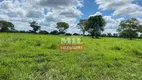 Foto 10 de Fazenda/Sítio à venda, 1815m² em Zona Rural, Cocalinho