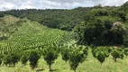 Foto 26 de Fazenda/Sítio com 8 Quartos à venda, 500m² em , Alto Rio Doce