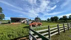 Foto 8 de Fazenda/Sítio à venda, 1250000m² em Zona Rural, Arinos