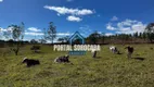 Foto 17 de Fazenda/Sítio com 3 Quartos à venda, 92000m² em , Pilar do Sul