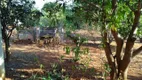 Foto 10 de Fazenda/Sítio com 3 Quartos à venda, 4800m² em Zona Rural, Aragoiânia